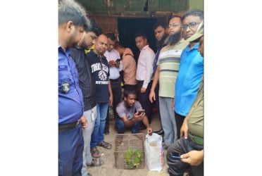 খাগড়াছড়িতে টিয়া ছানা জব্দ, বিক্রেতার অর্থদণ্ড