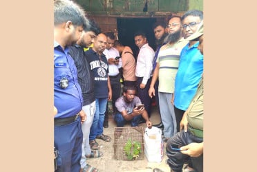 দীঘিনালায় ক্রেতা সেজে টিয়া ছানা জব্দ, অর্থদণ্ড