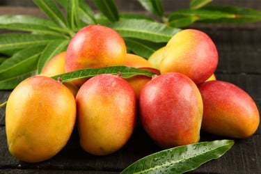 গরমে শরীরে রোগ প্রতিরোধ ক্ষমতা বাড়ায় আম