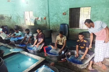 পরিত্যক্ত এক্স-রে ফিল্ম ঘষলে টাকা মেলে যে গ্রামে!