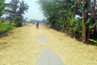 রাস্তা যেন ধান-খড় শুকানোর চাতাল!