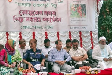 মাগুরায় জিআই স্বীকৃতি পাওয়া হাজরাপুরী লিচু মেলা