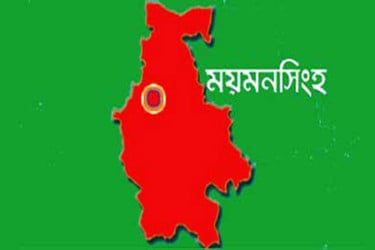 ময়মনসিংহে ঝড়ে গাছের ডাল ভেঙে নিহত ২