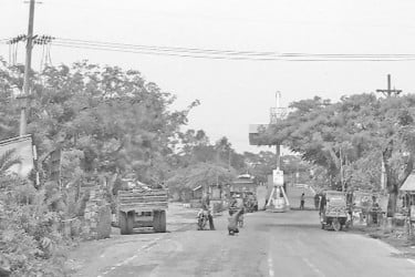 কৃষ্ণচূড়ায় লাল মহাসড়ক