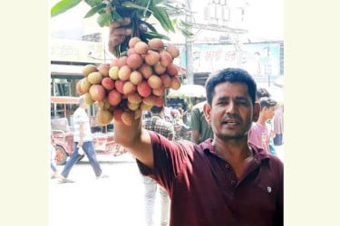 লাভের আশায় দিনাজপুরের বাজারে অপরিপক্ব লিচু