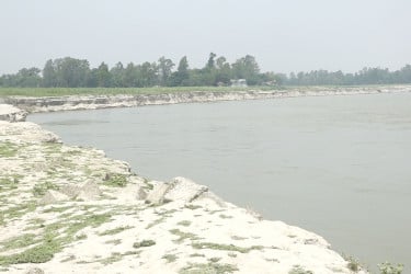 সিরাজগঞ্জে নদী ভাঙনে বিলীন হচ্ছে ফসলি জমি