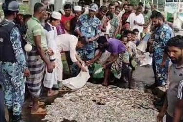 কলাপাড়ায় ১২ মণ সামুদ্রিক মাছ জব্দ