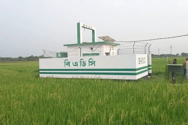 লালপুরে বিএডিসির সেচ প্রকল্পে ভাগ্য খুলেছে কৃষকের