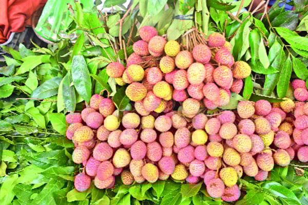 রসালো ফলে ভরেছে বাজার