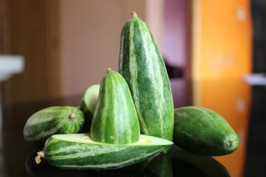 পরিচিত সবজি পটলের আছে নানা স্বাস্থ্যগুণ