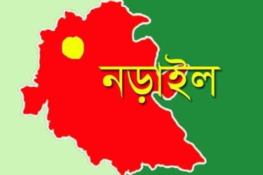 নড়াইলে ধারালো অস্ত্র দিয়ে কৃষককে কুপিয়ে হত্যা