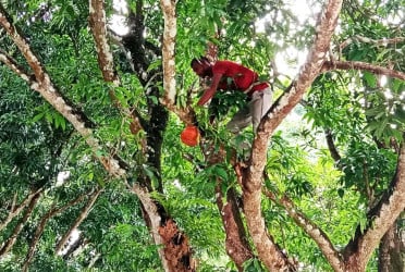 পাখির জন্য অন্যরকম ভালোবাসা