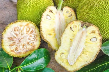 কাঁচা কাঁঠাল কেন খাবেন?