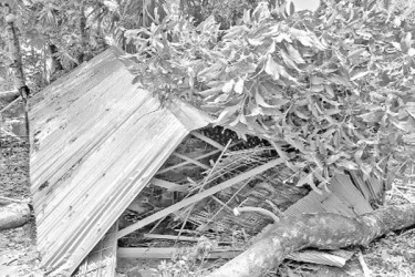 কালবৈশাখিতে লন্ডভন্ড লালমনিরহাট