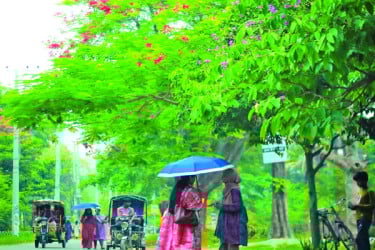 গাছে গাছে রঙের ছোঁয়া