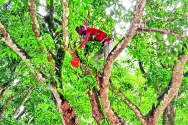 পাখির জন্য অন্য রকম ভালোবাসা
