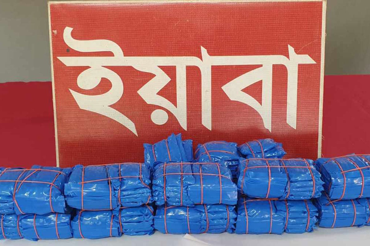 ৩০ হাজার পিস ইয়াবাসহ কারবারি গ্রেফতার