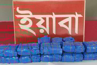 ৩০ হাজার পিস ইয়াবাসহ কারবারি গ্রেফতার
