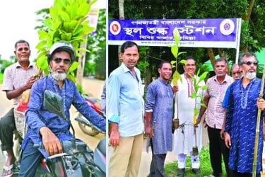 ঘুরে ঘুরে গাছ লাগান দুই বন্ধু