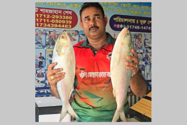পদ্মার দুই ইলিশ ১৪ হাজার টাকায় বিক্রি