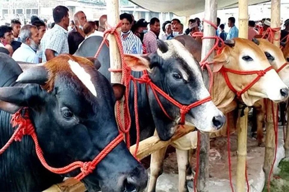 সড়ক-মহাসড়কের পাশে ২১৭ পশুর হাট