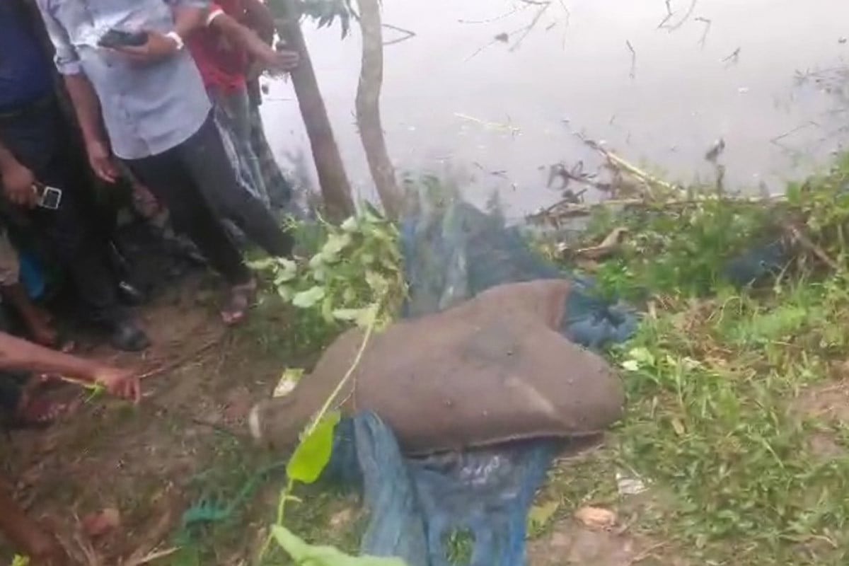 বস্তাবন্দি কুকুরের লাশ উদ্ধারে তোলপাড়, শত শত মানুষের ভিড়