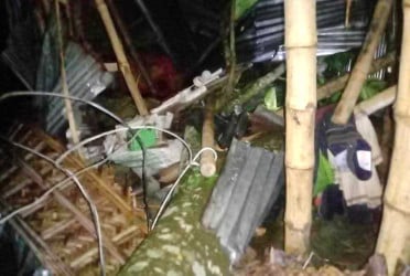 কালবৈশাখী ঝড়ে ৫ম শ্রেণির শিক্ষার্থীর মৃত্যু