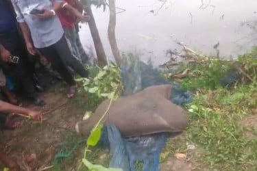 বস্তাবন্দি কুকুরের লাশ উদ্ধারে তোলপাড়, শত শত মানুষের ভিড়