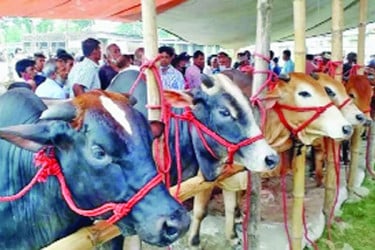 দাম বাড়াতে তৎপর মধ্যস্বত্বভোগী