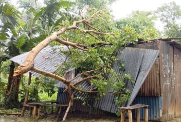 দিনাজপুরে কালবৈশাখীতে ঘরবাড়ী ও ফসলের ক্ষতি