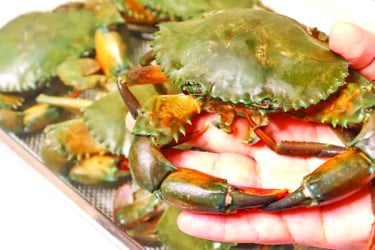 উপকূলের অর্থনীতি জোরদার কাঁকড়ায়