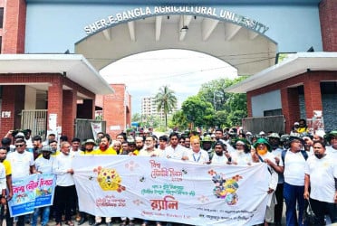 বিশ্ব মৌমাছি দিবস ২০২৫: মৌচাষে টেকসই পরিবেশ গড়ার আহ্বান