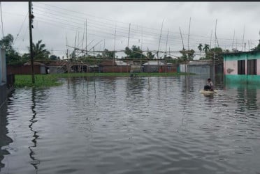 রংপুরে বৃষ্টিতে নিম্নাঞ্চল প্লাবিত, ৩০০ হেক্টর ফসল নিমজ্জিত
