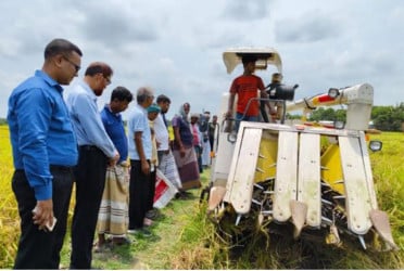 সমলয় চাষাবাদে স্বপ্ন বুনছেন কৃষক, বিঘাপ্রতি ফলন ২৯ মণ