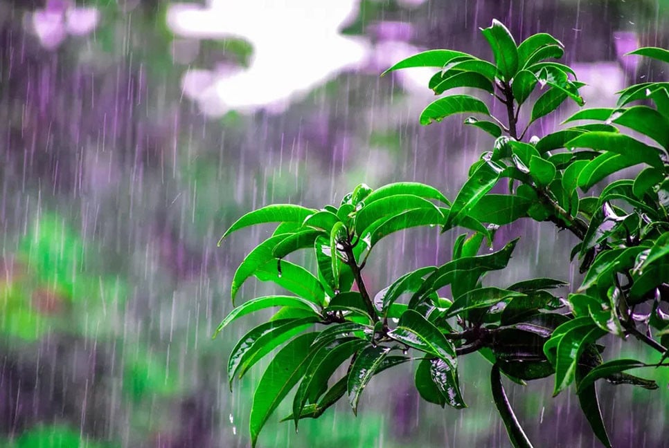 খুতবায় পরিবেশ বিপর্যয় নিয়ে আলোচনা হোক