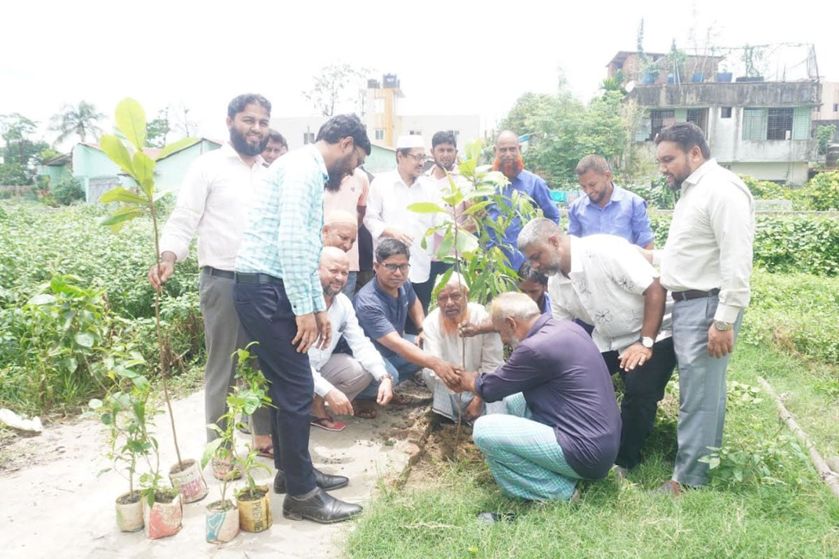 সিআইএমসির উদ্যোগে বৃক্ষরোপণ কর্মসূচি