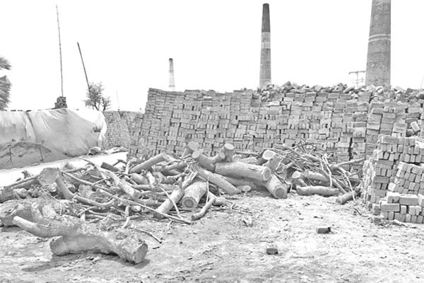 ভাটায় বিপন্ন পরিবেশ