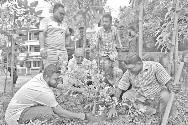 বসুন্ধরা শুভসংঘের উদ্যোগে বৃক্ষরোপণ