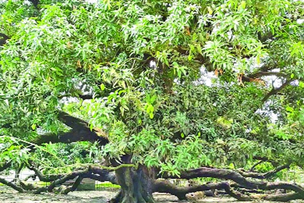 বিস্ময়কর ২২০ বছরের সূর্যপুরী
