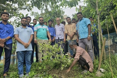 ভালুকায় বসুন্ধরা শুভসংঘের কমিটি গঠন উপলক্ষ্যে বৃক্ষরোপণ