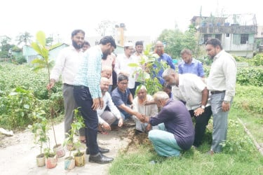 সিআইএমসির উদ্যোগে বৃক্ষরোপণ কর্মসূচি