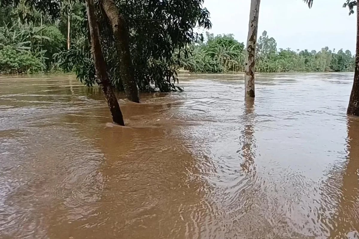 উজানের বৃষ্টিতে সিলেটের নদ-নদীর পানি বাড়ছে