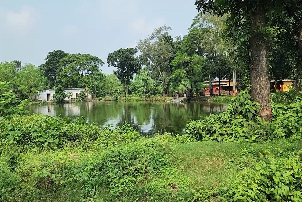 চাঁদপুরে পুকুরে ডুবে ভাই-বোনের মৃত্যু