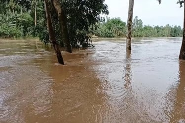 উজানের বৃষ্টিতে সিলেটের নদ-নদীর পানি বাড়ছে