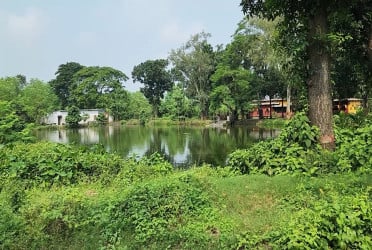 চাঁদপুরে পুকুরে ডুবে ভাই-বোনের মৃত্যু