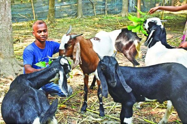 তপুর এগিয়ে চলা