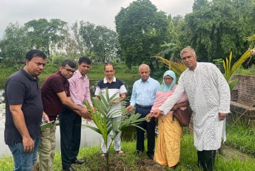 রংপুরে বেগম রোকেয়া স্মৃতিকেন্দ্রে বৃক্ষরোপণ