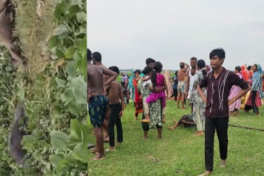 মুন্সীগঞ্জে জোয়ারের পানির তোড়ে ভেসে গেল শতাধিক গরু