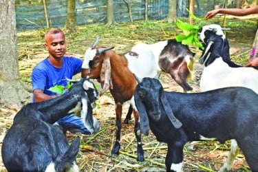 তপুর এগিয়ে চলা