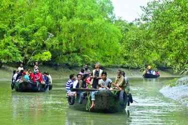 ইকোট্যুরিজমের সম্ভাবনা সুন্দরবনে